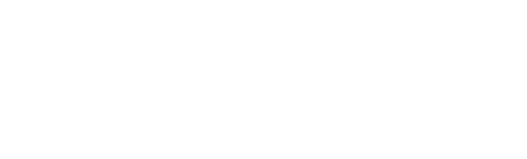 partner2